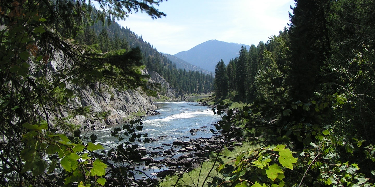 scenic view while on blackfoot river family float